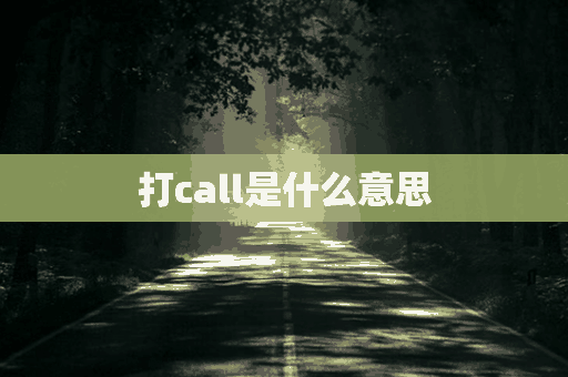 打call是什么意思(打call是什么意思啊)